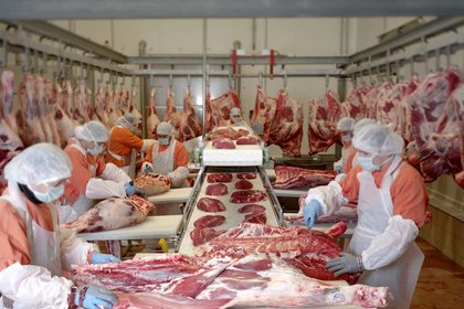 Banvit kırmızı et ile ilgili besicilik üretimini durdurma kararı aldı