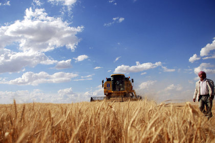 Çin'deki kuraklık endişeleri buğday fiyatlarını yükseltti