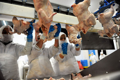 Bor: Türkiye'de beyaz et tüketimi Avrupa'yı yakaladı