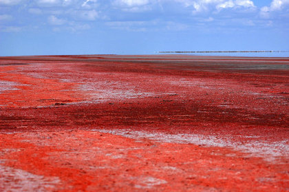 Tuz Gölü neden kırmızı?