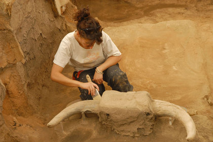 Çatalhöyük Dünya Kültür Mirası oluyor