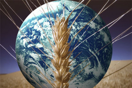 BM: 2007-2008'deki türde bir gıda krizi yaşanabilir