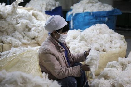 Çin'in pamuk tüketimi %11 düşebilir