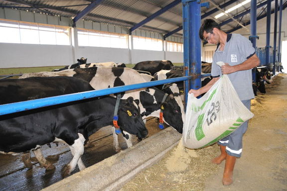 ANALİZ: Rusya-Ukrayna krizi süt sektörüne de darbe vurdu