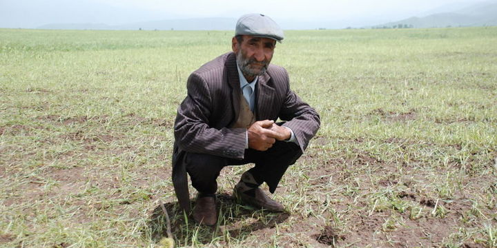 Analiz: Çiftçinin %88