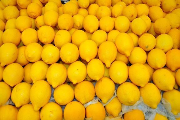 Limon ihracatından 115 milyon $ gelir elde edildi