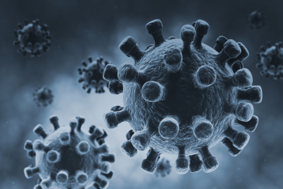 MERS virüsünün bulaşıcılığı, Ebola'dan daha yüksek