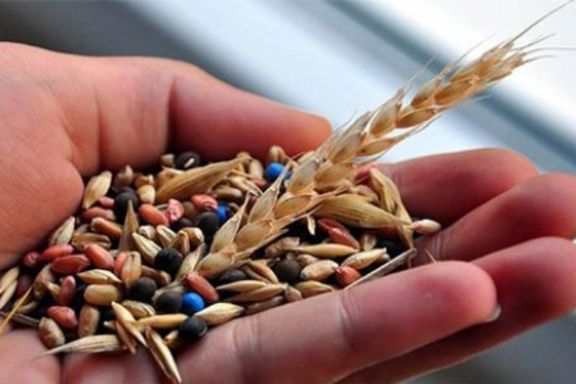 Analiz: Gıda güvenliğinin teminatı tohumlara bağlı