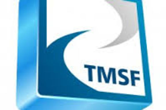 TMSF: Batmasın diye Bank Asya'nın yönetimi değiştirildi