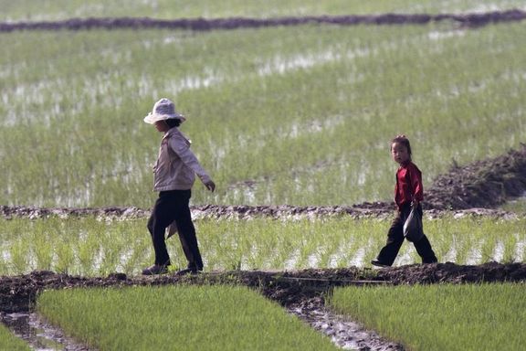 Tarımda Çin etkisi