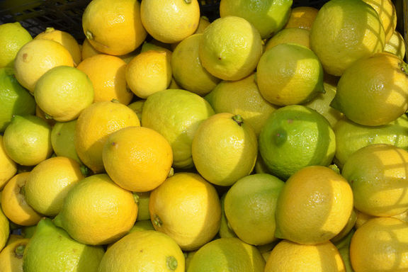 Haziranda en çok limonun fiyatı arttı