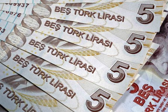 Zayıf Türk Lirası ekonomi için risk