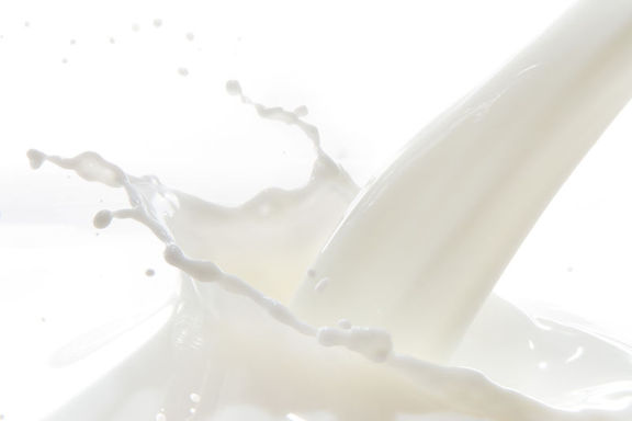 Süt ve süt ürünleri üretiminde artış kaydedildi