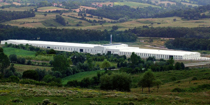 Türk elektrik şirketinin Rusya