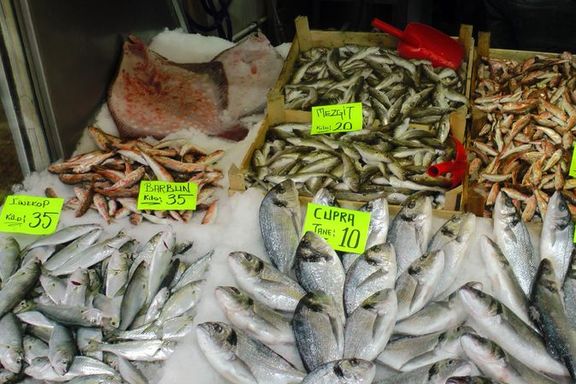 Balık fiyatları altınla yarışıyor