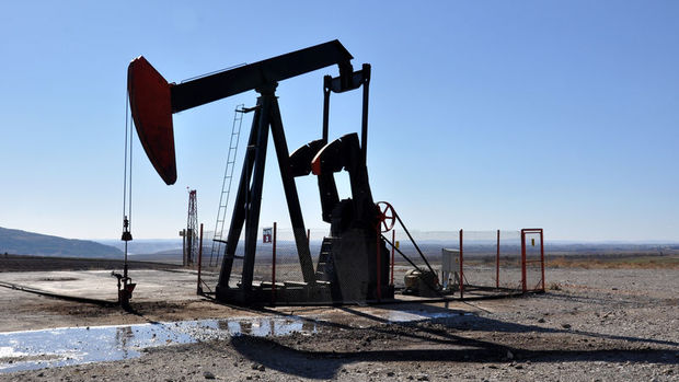 S. Arabistan: Petrol üretim kesintisi net olmaktan uzak
