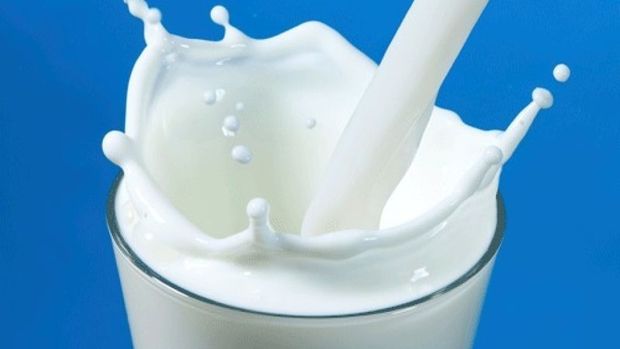 Süt ve süt ürünleri üretimi arttı