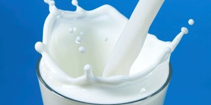 Süt ve süt ürünleri üretimi arttı
