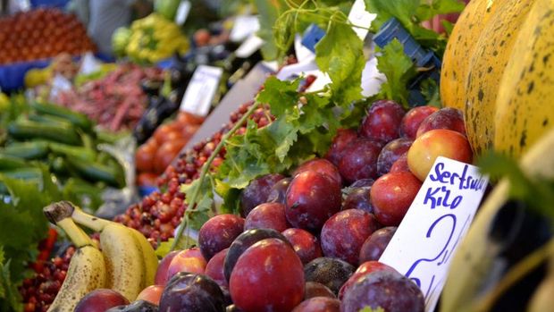 Türk sebze meyvesi tekrar Rusya'da yerini alabilir