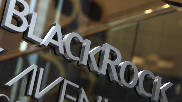 BlackRock/Fink: Hisse senetlerindeki yükseliş kısa süreli olabilir
