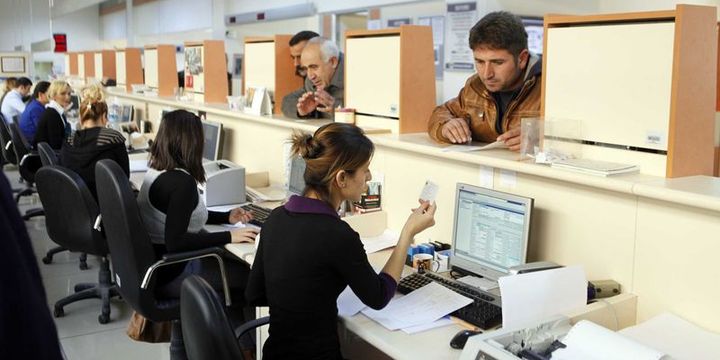 Yılın ilk yarısında mudi sayısında patlama yaşandı