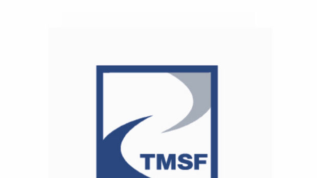 TMSF Bank Asya'nın şirketlerini satıyor