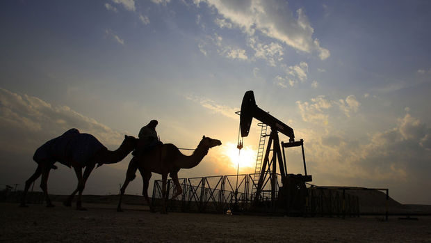 Petrol zengini ülkeler ekonomik modellerini değiştirmeye çalışıyor