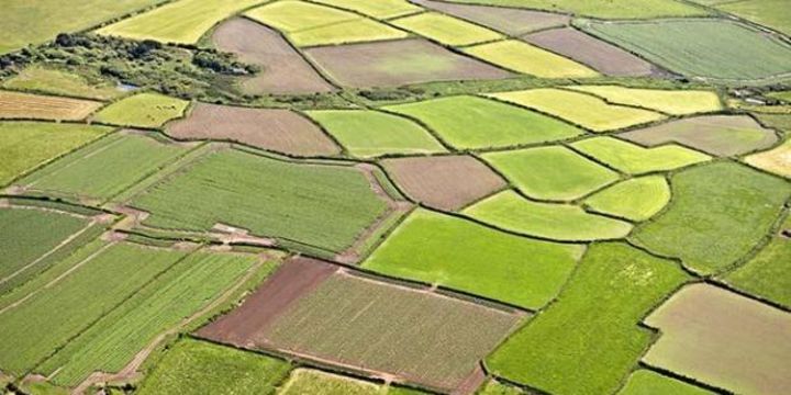 TZOB/Bayraktar: Ekim son yılların en kurak üretim sezonu başlangıcı oldu