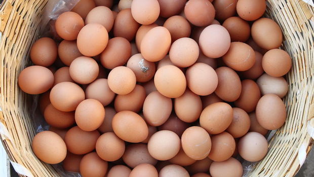 Tüketiciyi üzen yumurta fiyatı üreticiye nefes aldırdı