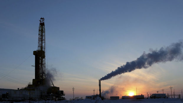 Rosneft'in karı yüzde 49 düştü