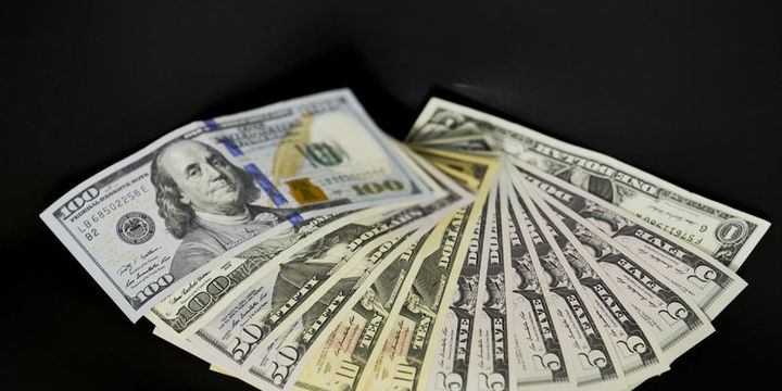 Dolar/TL 3.60