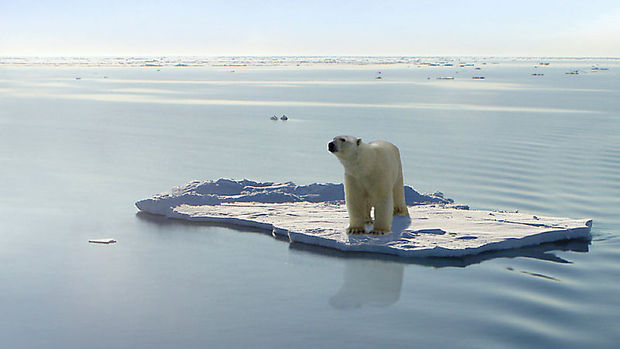 Kutuplarda deniz buzu yüz ölçümü rekor düzeyde azaldı