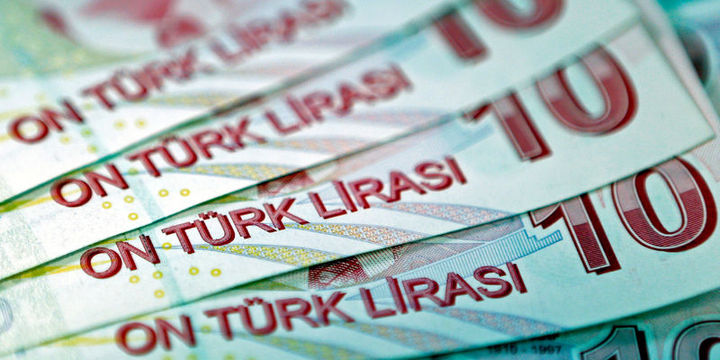 Enflasyonla yükselen dolar/TL