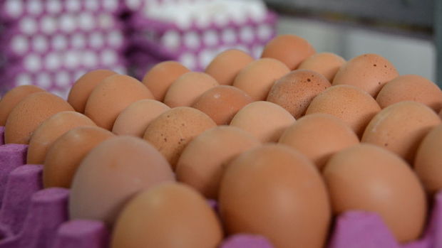Yumurta üretimi % 6.3 düştü