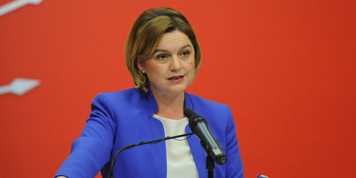 CHP referandum sonucunu AİHM