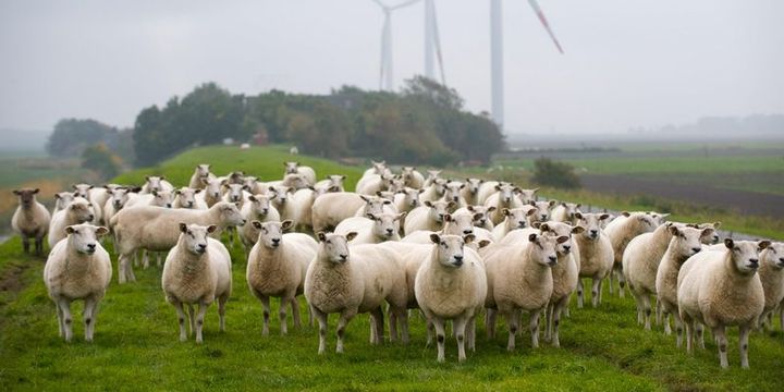 Rüzgar enerjisiyle yıllık 13 milyar dolar tasarruf mümkün