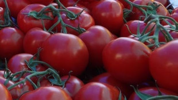 Irak domates ithalatını durduruyor