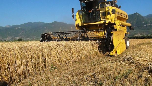 Tkaçev: Türkiye, Rus buğday ithalatına yönelik kısıtlamaları kaldırdı