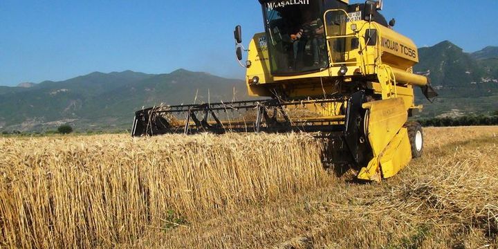 Tkaçev: Türkiye, Rus buğday ithalatına yönelik kısıtlamaları kaldırdı