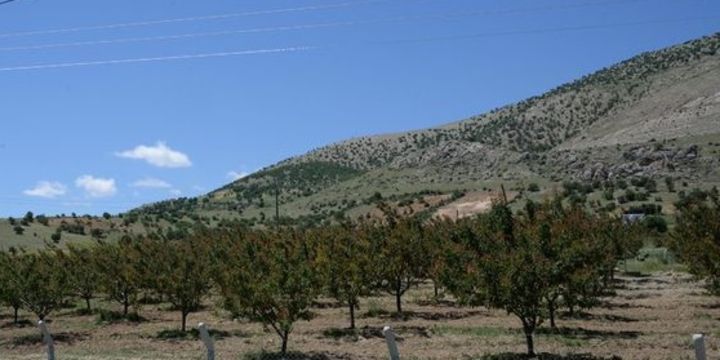 Güneydoğu