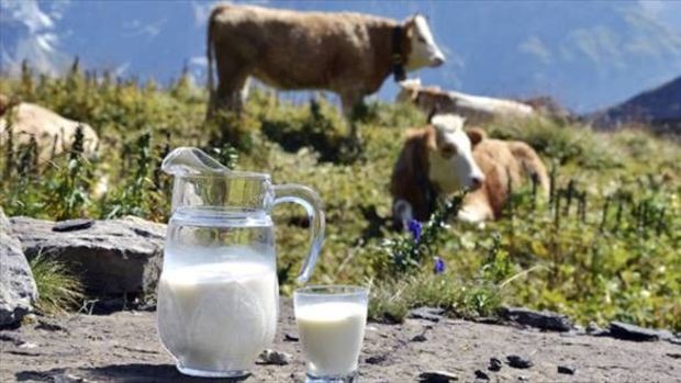 Toplanan inek sütü miktarı nisanda azaldı
