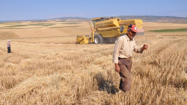 Tarım ÜFE Temmuz'da %2,28 azaldı
