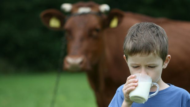 Çiğ süt referans fiyatı 10 kuruş arttı