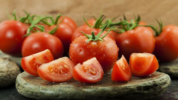 Rusya'dan beklenen domates müjdesi geldi