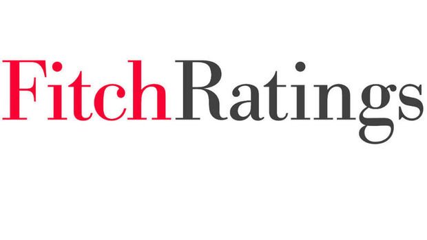 Fitch: EMEA Bölgesi sigorta şirketlerinin sermaye gücü kredi notunu destekliyor