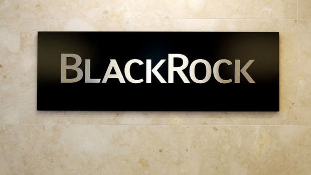 Blackrock: Gelişen hisse rallisi daha yeni başladı
