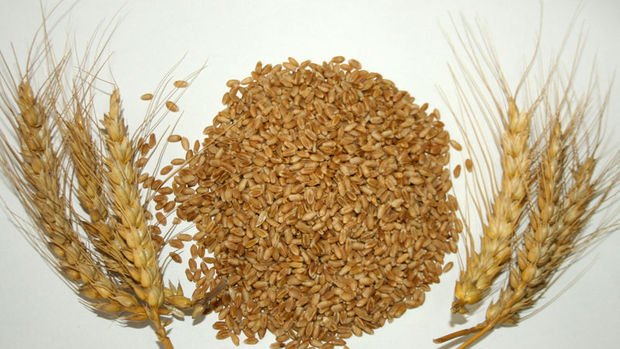 TMO 230,000 ton ekmeklik buğday alımı için ihaleler açtı