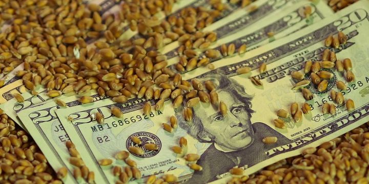FAO: Dünyanın gıda ithalat faturası artıyor