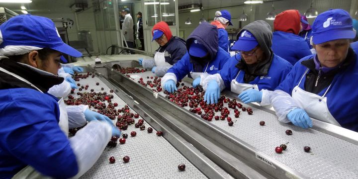 Türk kirazı ve üzümü Uzakdoğu
