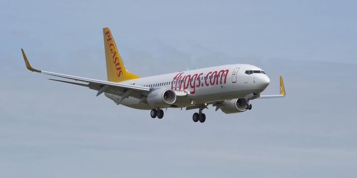 Pegasus